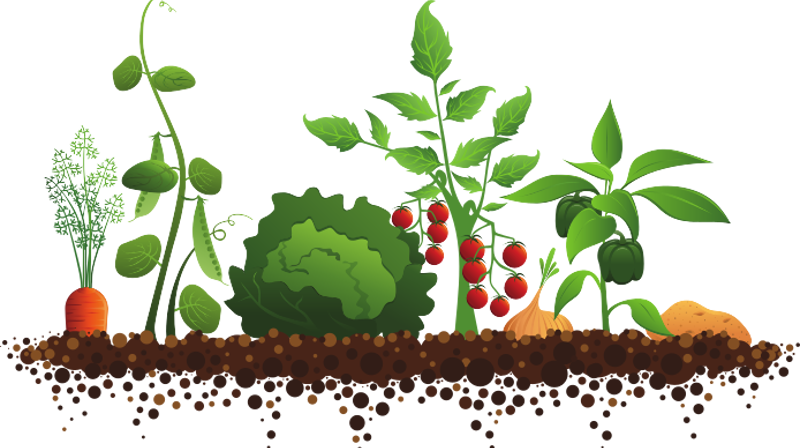 Har du lyst til å bidra til et triveligere uterom rundt Hoeggen kirke?