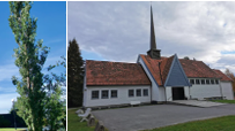 Gode nyheter: Vi bygger for framtiden!