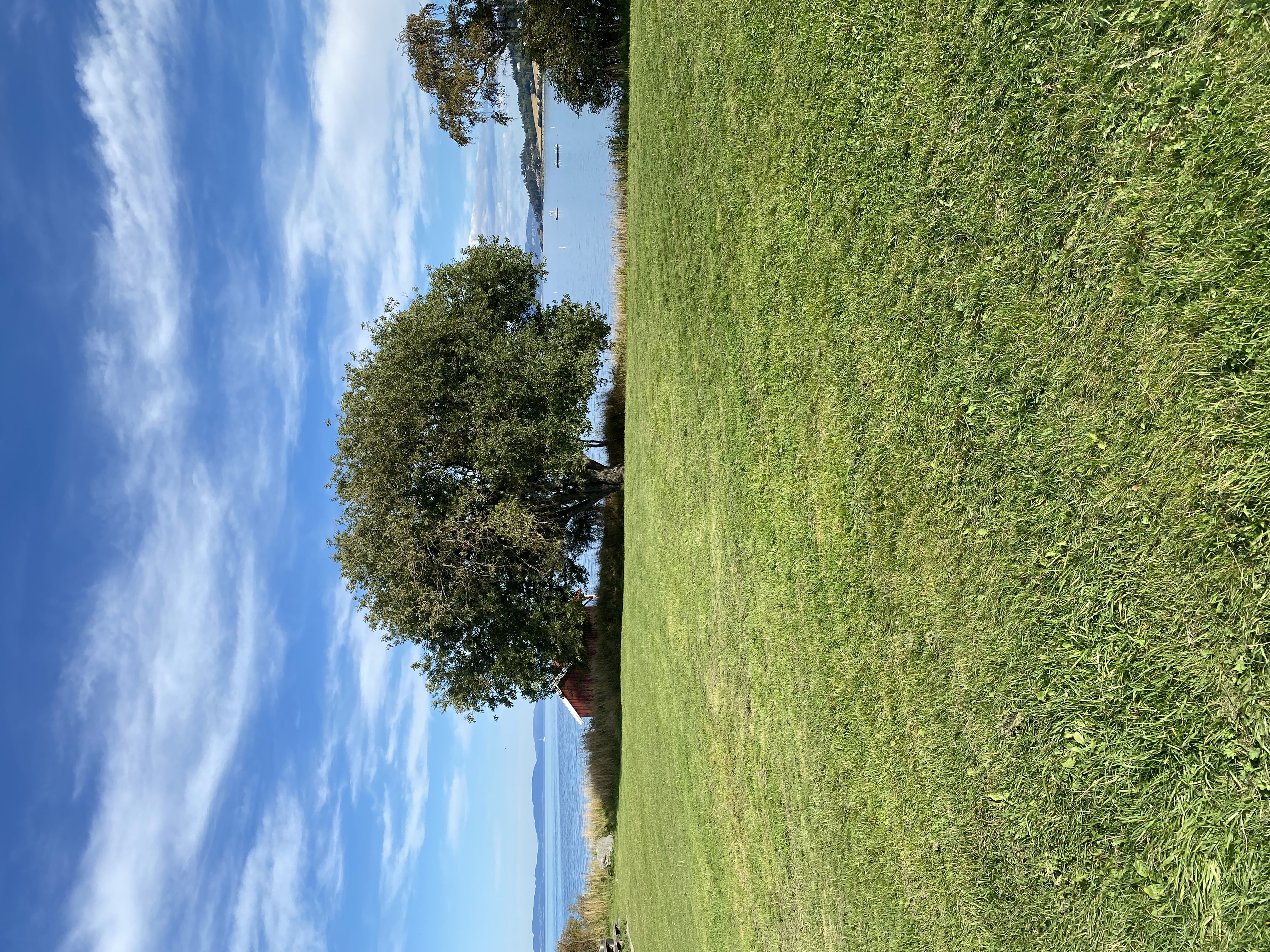Bildet viser stedet vi skal ha friluftsgudstjeneste 14. september klokka 11.  Foto: Berit Svensson Kvistad