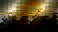 Foto: Sasin Tipchai - pixabay.com