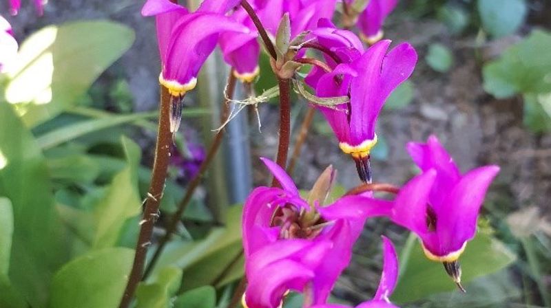 Velkommen tilbake til hyggetreff 3.september