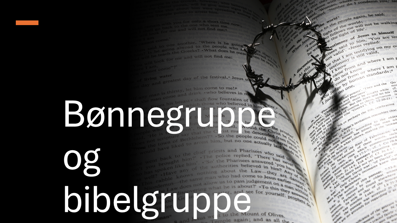 Bønnegruppe og bibelgruppe