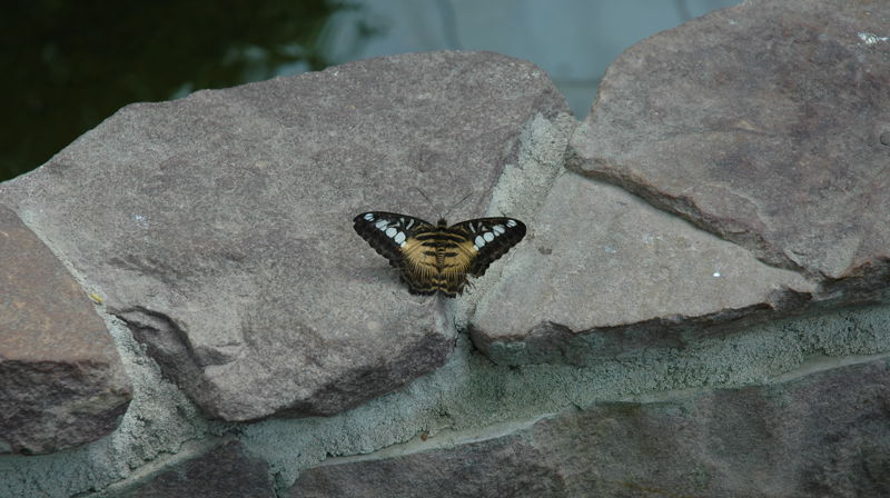 Aktiviteter i Ullensaker menighet i uken som kommer