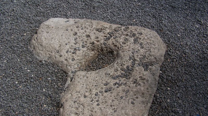 Søndagstanker 14. juli 2019