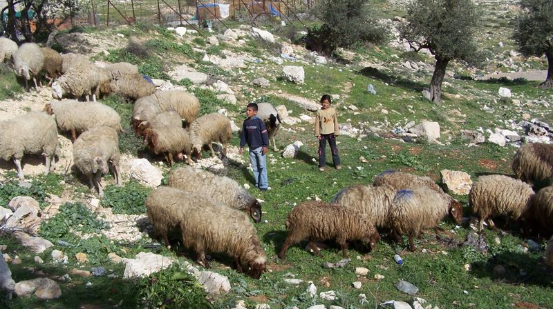 Søndagstanker 18. april 2021