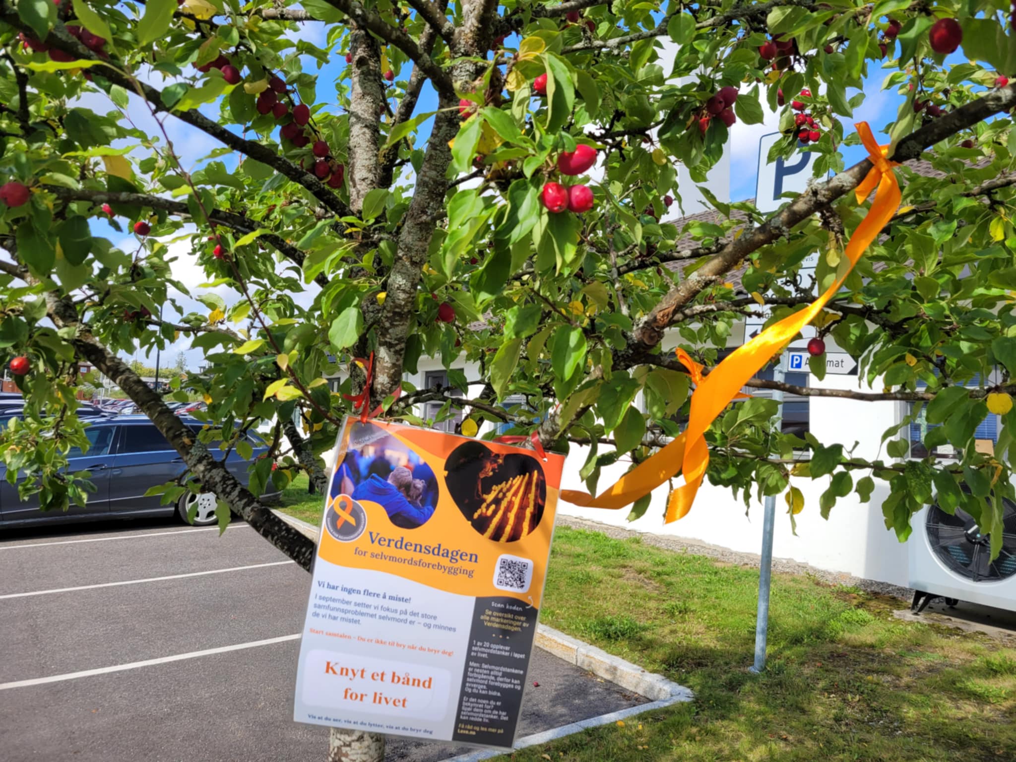 Knyt et bånd for livet