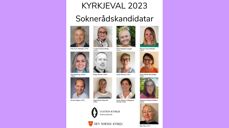 samanstilling av portrettbilde til alle nye valde medlemar i Ulstein sokneråd med navn.