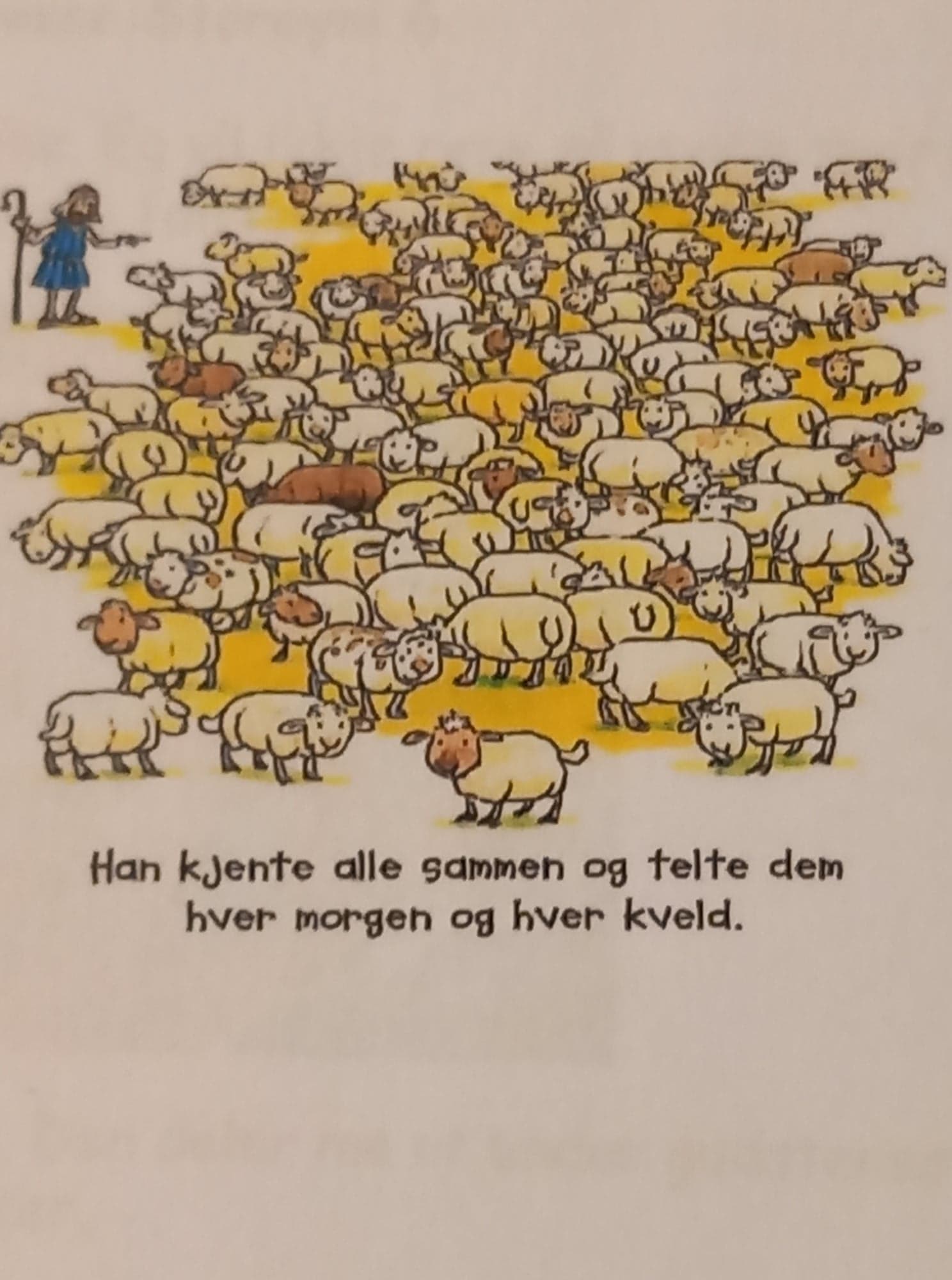 Krølletreff laurdag 17. okt.