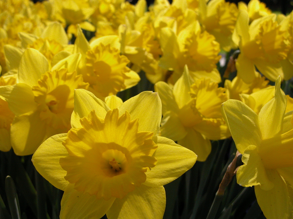 Opningstider kyrkjekontoret