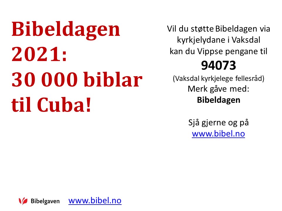 Presentasjon av Bibeldagen 2021, Vaksdals-versjon, bilete 5.JPG