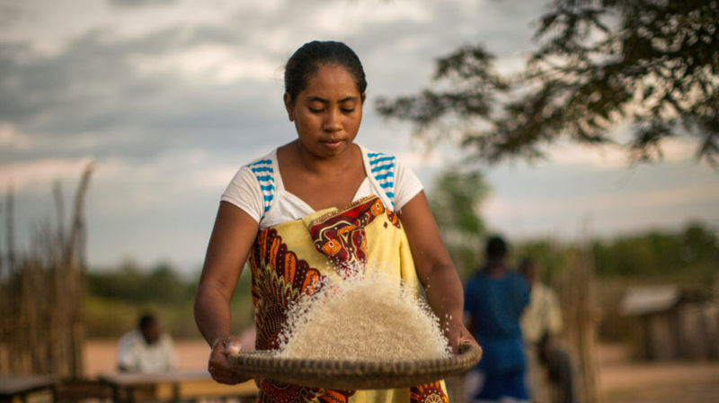 Madagaskar prosjektet