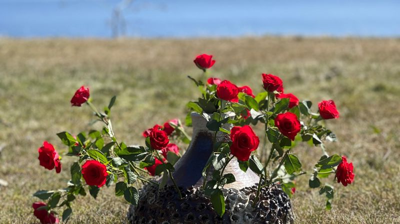 INNVIING AV NY DEL AV LOMEN GRAVPLASS