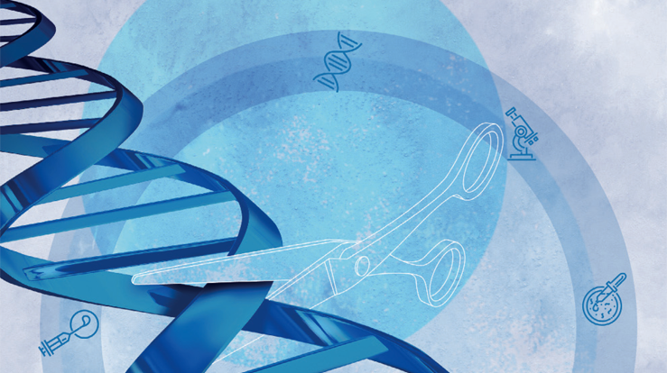 Illustrasjon fra  Meld. St. 39 (2016–2017) Evaluering av bioteknologiloven.