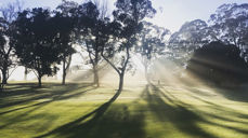 Bispemøtet har utgitt heftet "Guds skaperverk - vårt hjem"