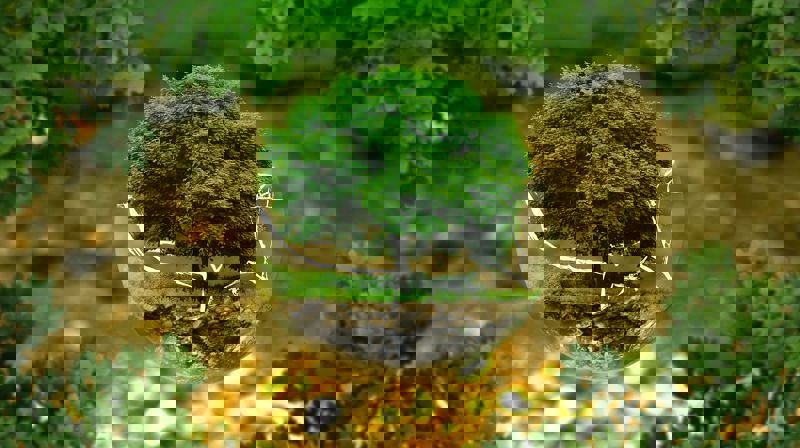 Oppfordring fra Olav Fykse Tveit