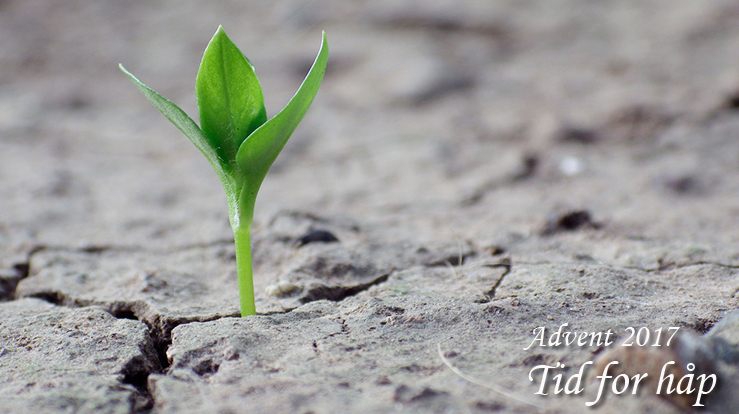 Luke 4: Håp for verden!